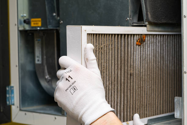 Best Residential Air Duct Cleaning  in Whitehall, MI