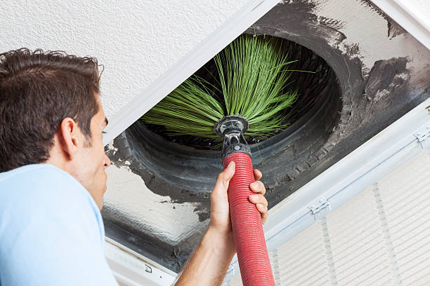 Best Air Duct Cleaning Near Me  in Whitehall, MI