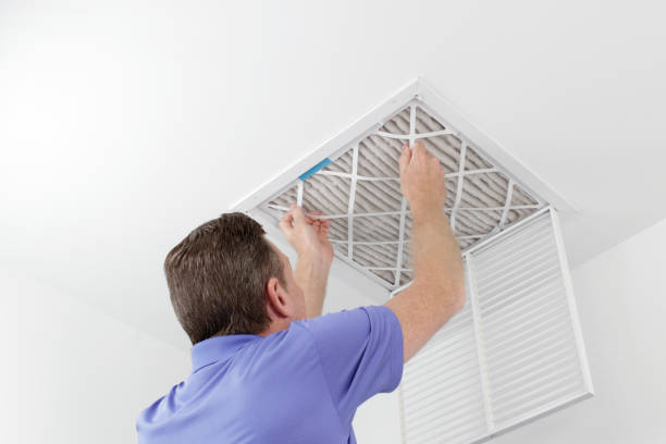 Best Air Quality Test  in Whitehall, MI